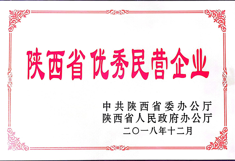 優(yōu) 秀民營(yíng)企業(yè)